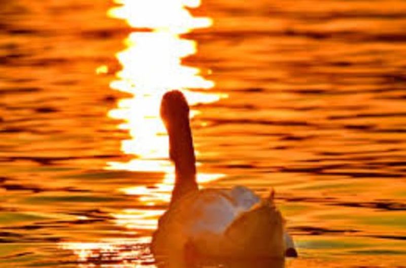 Mâine se reîntoarce vara. Căldură mare în plină toamnă