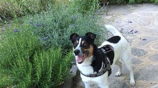 A fost revelația anilor &rsquo;70 și acum locuiește &icirc;n Italia. O renumită c&acirc;ntăreață de la noi stă &icirc;ntr-un palat