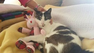 A fost revelația anilor &rsquo;70 și acum locuiește &icirc;n Italia. O renumită c&acirc;ntăreață de la noi stă &icirc;ntr-un palat