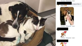 A fost revelația anilor &rsquo;70 și acum locuiește &icirc;n Italia. O renumită c&acirc;ntăreață de la noi stă &icirc;ntr-un palat