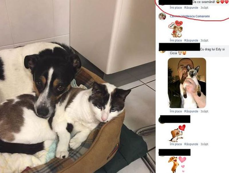 A fost revelația anilor ’70 și acum locuiește în Italia. O renumită cântăreață de la noi stă într-un palat