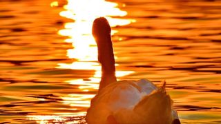 Octombrie nu va mai fi la fel! Ne așteaptă o lună de neuitat în România. Mercurul urcă semnificativ în termometre