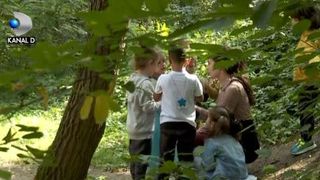 VIDEO | Grădinița din pădure, concept unic în România