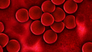 Informații de ultimă oră! A fost creat s&acirc;ngele artificial care poate fi tranfuzat pacienților, indierent de grupa sanguină