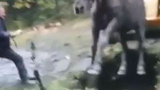 Acțiunea specială de salvare a unui cal căzut &icirc;ntr-un bazin ad&acirc;nc de doi metri