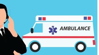 Cazul șocant al unei femei care a murit după ce a mers să dea de m&acirc;ncare la porc. Animalul i-a m&acirc;ncat o m&acirc;nă