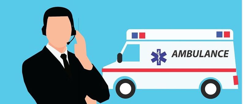 Cazul șocant al unei femei care a murit după ce a mers să dea de mâncare la porc. Animalul i-a mâncat o mână