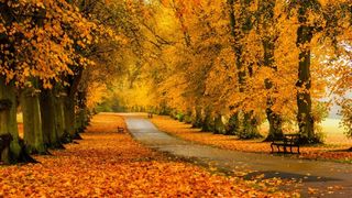 Prognoza meteo pentru următoarele ore și pentru mâine. Ce se întâmplă cu vremea