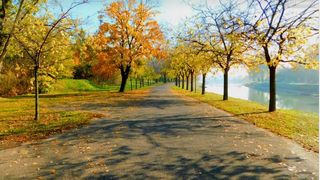 Vreme caldă din nou! Miercuri, 9 octombrie, temperaturile încep să crească