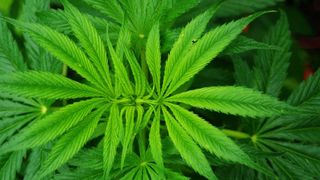 Rom&acirc;nul care a vrut să seducă o polițistă din Anglia, venită să-l aresteze, s-a sinucis