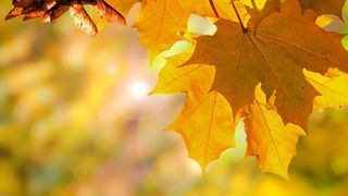 Prognoza meteo 9 octombrie! Meteorologii vin cu vești bune