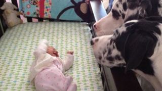 Povestea uimitoare a unor părinți. Cei doi și-au lăsat copiii singuri cu c&acirc;inii și au &icirc;ncuiat ușa