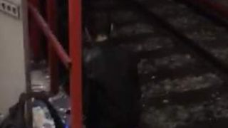 Mecanicul metroului care a fost implicat în incidentul cu un om târât pe peron are doar 23 de ani