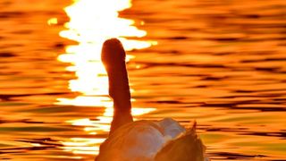 3 &icirc;n 1. Așa arată vremea din ultima săptăm&acirc;nă, 3 anotimpuri &icirc;n unul și vremea continuă să crească