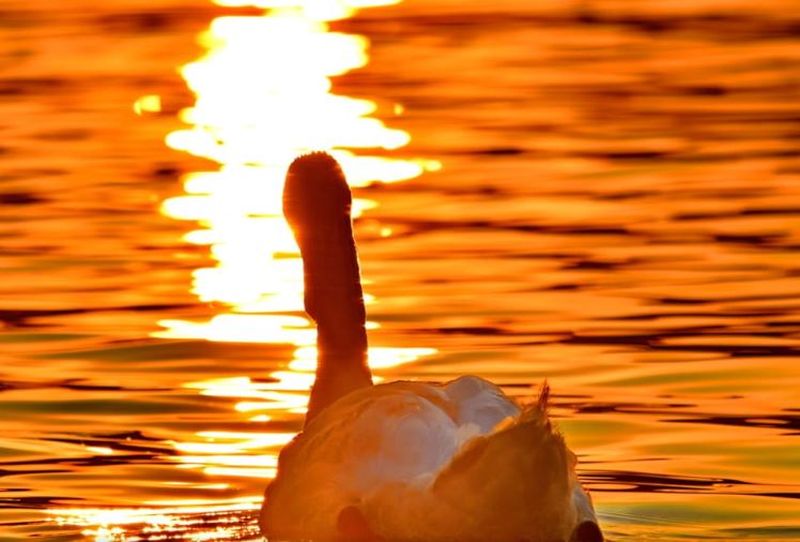 3 în 1. Așa arată vremea din ultima săptămână, 3 anotimpuri în unul și vremea continuă să crească