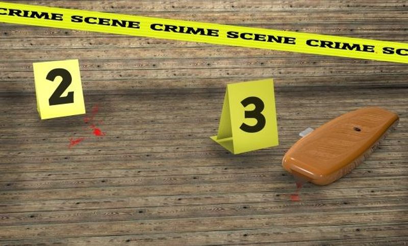 Tragedie în familia unui scriitor. Și-a ucis soția și copiii, apoi s-a sinucis