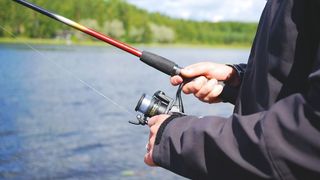 Alertă! Specie extrem de periculoasă de pește găsită pe uscat trebuie exterminată