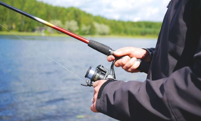 Alertă! Specie extrem de periculoasă de pește găsită pe uscat trebuie exterminată