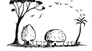 Ce vezi prima oară în imagine? Răspunsul spune multe despre personalitatea ta