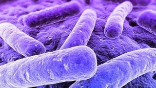 Boala cu transmitere sexuală care nu era cunoscută până acum! Face tot mai multe victime