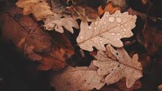 C&acirc;nd vine iarna