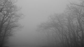 Cod galben de ceaţă în 21 de judeţe