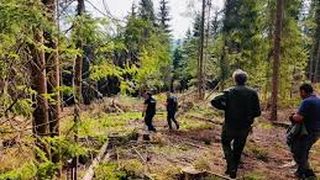 Bărbatul din Vrancea, dispărut &icirc;n pădure şi căutat de zeci de persoane, a fost găsit decedat