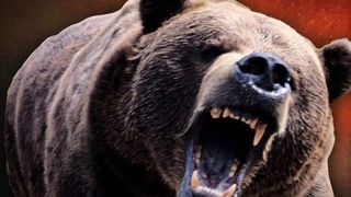 VIDEO | O fetiţă de 4 ani a fost rănită de un urs &icirc;n judeţul Braşov