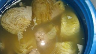 Varza murată. Trucuri folositoare pentru ca varza murată să iasă perfect