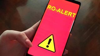 Autoritățile au emis un mesaj Ro-Alert &icirc;n Harghita: Trei urși au fost zăriți &icirc;n stațiunea Băile Tușnad