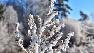 Ce ne aduce iarna 2019-2010? Vezi ce transmit meteorlogii