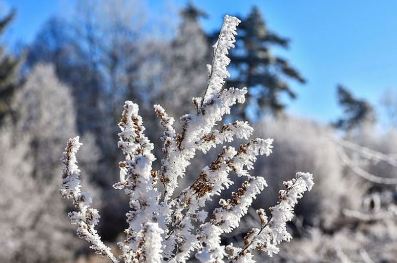 Ce ne aduce iarna 2019-2010? Vezi ce transmit meteorlogii