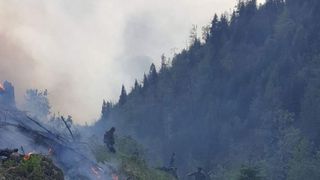 Arde pădurea - 20 de hectare afectate de un incendiu devastator &icirc;n Hunedoara