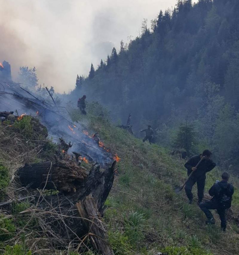 Arde pădurea - 20 de hectare afectate de un incendiu devastator în Hunedoara