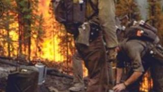 Incendiu devastator &icirc;n Hunedoara: 20 de hectare afectate