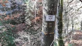 Turist găsit mort, &icirc;n munții Bihorului. Bărbatul era căutat de 3 zile