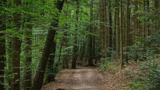 Turist găsit mort, &icirc;n munții Bihorului. Bărbatul era căutat de 3 zile