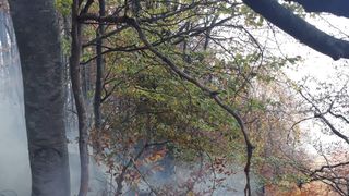 VIDEO | Incendiu de proporții &icirc;n Munții Vulcan