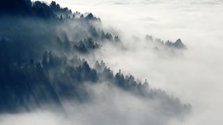 Cod galben de ceaţă în 11 judeţe, până la miezul nopţii; în unele zone va fi burniţă