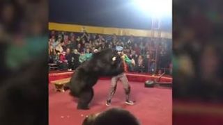 VIDEO | Dresor atacat de urs, &icirc;n plin spectacol. Totul a fost filmat! Imaginile sunt greu de privit