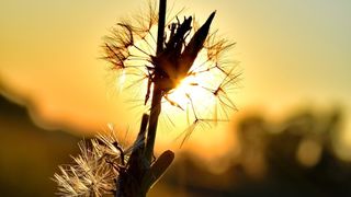 Prognoza meteo - weekend călduros și plăcut, temperaturi neobișnuite pentru luna octombrie