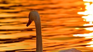 Prognoză meteo - weekend călduros și plăcut, temperaturi neobișnuite pentru luna octombrie