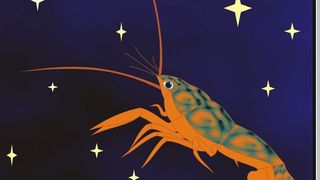 Horoscop 2019, vineri - 25 octombrie, o zi &bdquo;super-sexy". Venus și Pluto &icirc;ți intră pe sub piele