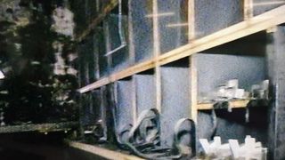 Colectiv. Cum arată interiorul clubului, la 4 ani după incendiu. Imagini cutremurătoare