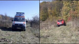 Un bărbat din Bacău a fost ucis de doi urși. Nepotul său de 14 ani a scăpat ca prin urechile acului