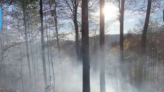 Incendiu pe o suprafaţă de 800 de metri pătraţi, &icirc;n zona staţiunii Sinaia