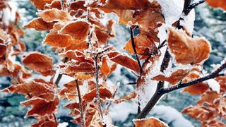 Vine iarna! Meteorologii anunţă răcirea accentuată a vremii &icirc;n următoarele zile