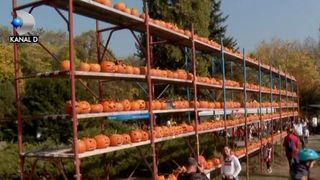 VIDEO | Cel mai mare zid din dovleci, &icirc;n Parcul Herăstrău
