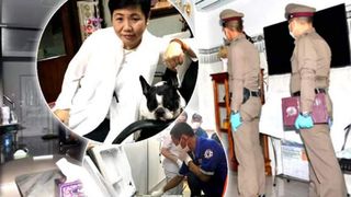 O milionară a fost omor&acirc;tă și bagată &icirc;n frigider chiar de un apropiat