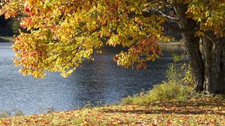 Vremea, s&acirc;mbătă, 2 noiembrie 2019: Temperaturi neașteptat de calde